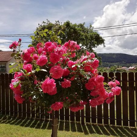 Apartman Maja Daire Otočac Dış mekan fotoğraf