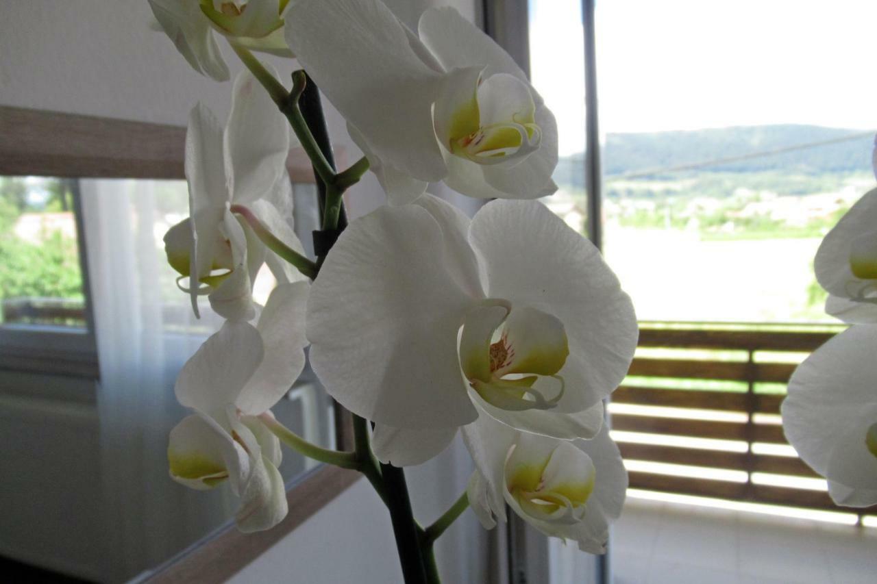 Apartman Maja Daire Otočac Dış mekan fotoğraf